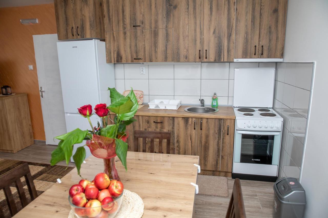 Kuca Stojanovica Topli Do Pirot Exteriör bild