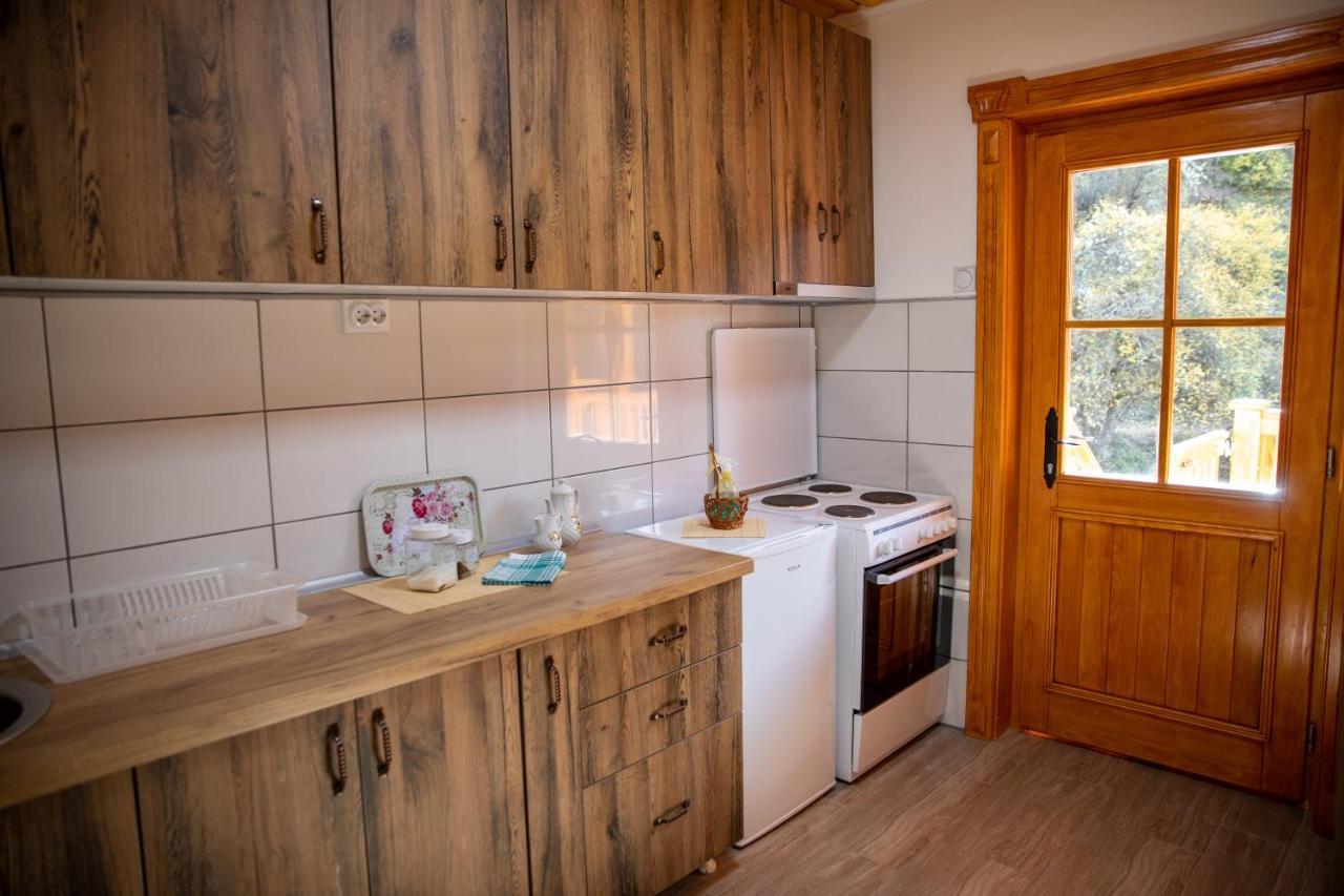Kuca Stojanovica Topli Do Pirot Exteriör bild