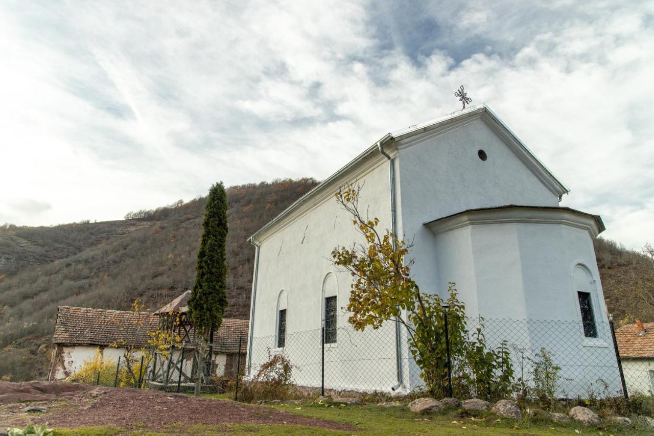 Kuca Stojanovica Topli Do Pirot Exteriör bild